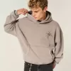 Felpa con cappuccio Baggy Cinch Spider Graphic