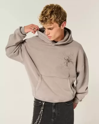 Felpa con cappuccio Baggy Cinch Spider Graphic