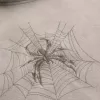 Felpa con cappuccio Baggy Cinch Spider Graphic