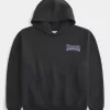 Felpa con cappuccio grafica Boxy University of Washington Huskies