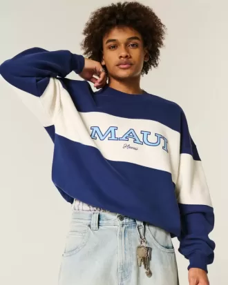Felpa girocollo con grafica Baggy Cinch Maui