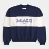 Felpa girocollo con grafica Baggy Cinch Maui