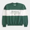 Felpa girocollo con grafica Charleston Baggy Cinch