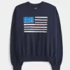 Felpa girocollo con grafica della bandiera americana Easy
