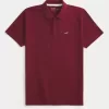 Polo Icon