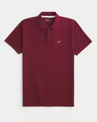Polo Icon